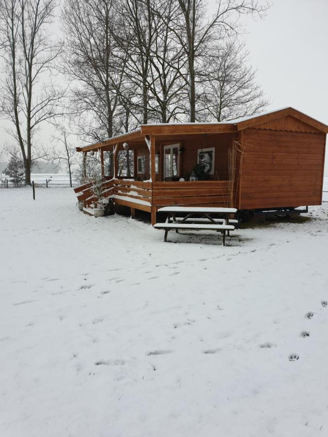 Apartment Tiny House Het Reebokje Vriescheloo